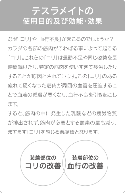 テスラメイトEXの効能・効果